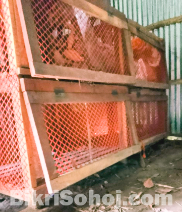 একটি ভালো মানের মুরগির খাঁচা কাঠ ও নেটের তৈরি